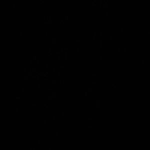 Meet your Posher, Nevaeh